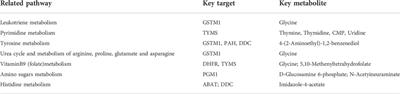 Combined metabolomics and network pharmacology to elucidate the mechanisms of Dracorhodin Perchlorate in treating diabetic foot ulcer rats